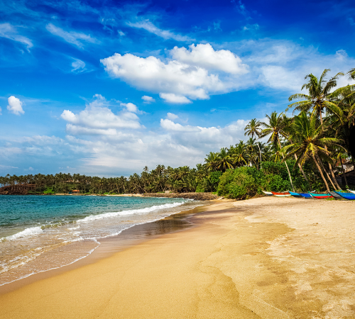 Serene Sri Lanka Escapade An 8-Day Itinerary